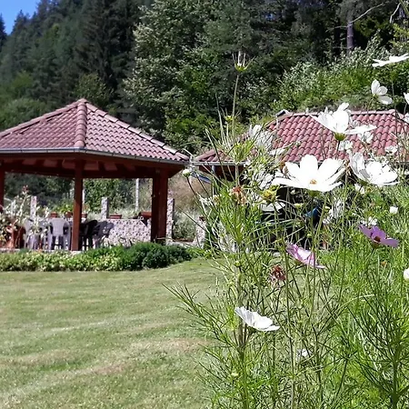 Chaushevi Pletena