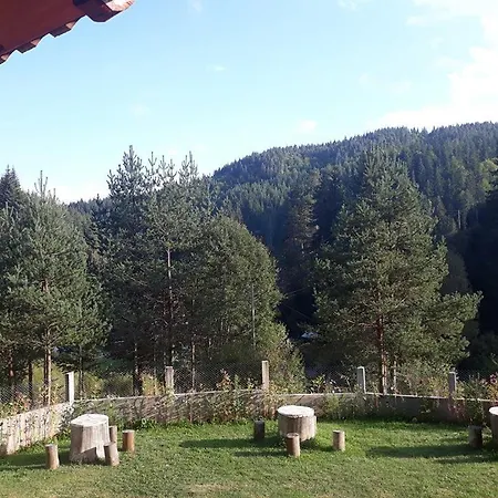 Chaushevi Pletena