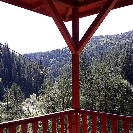 Chaushevi * Pletena